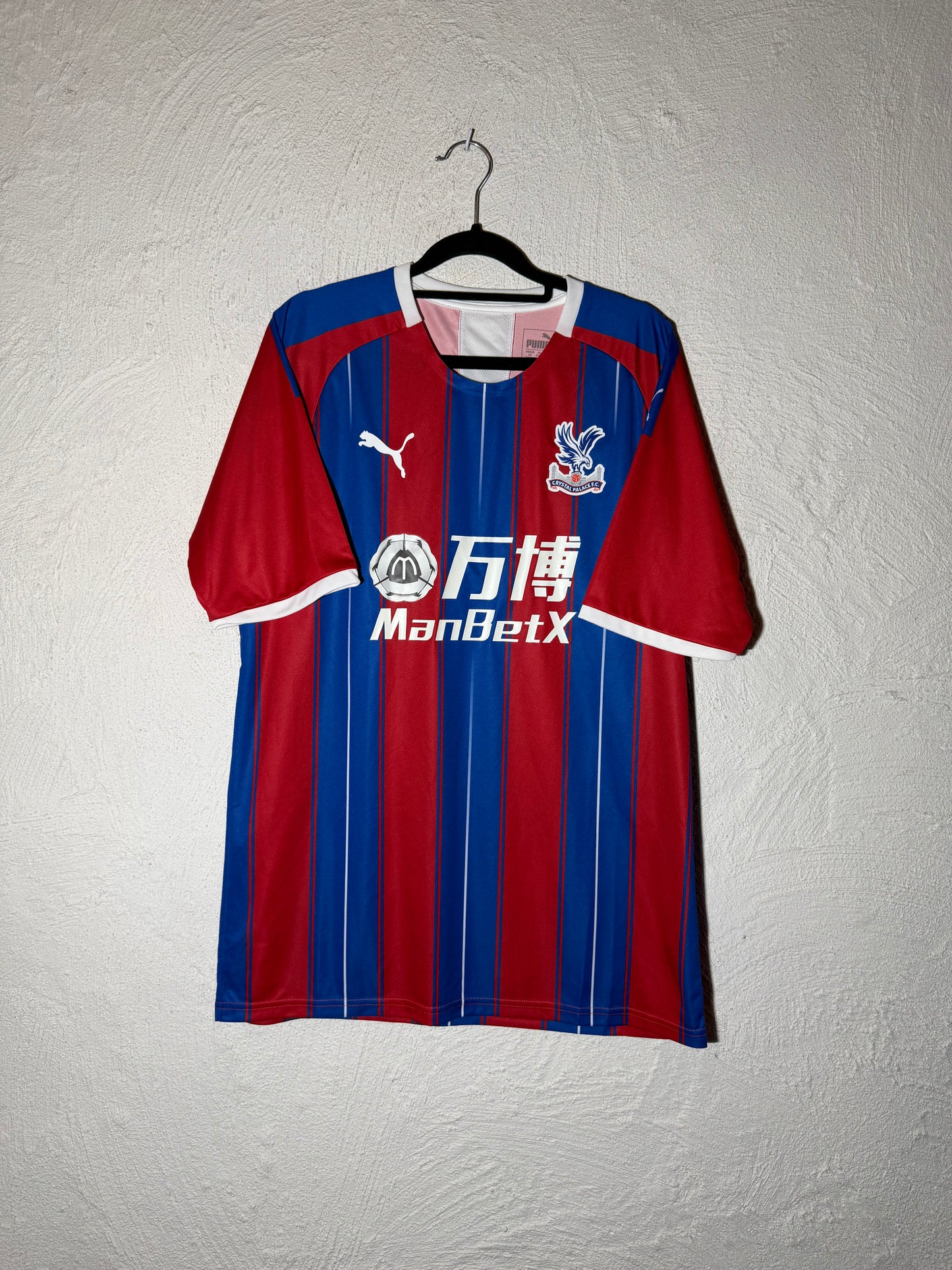 Crystal Palace 2019-2020 home shirt (L)