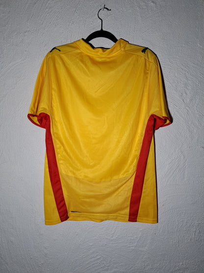 Cameroon 2008-2009 away shirt (M)