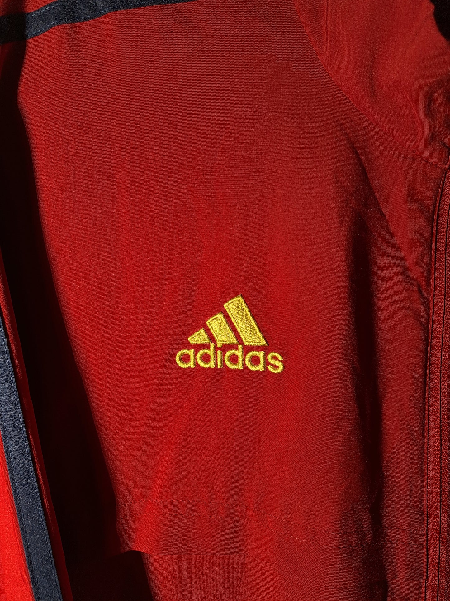 Ajax 2022-2023 pre-match jacket (XL)