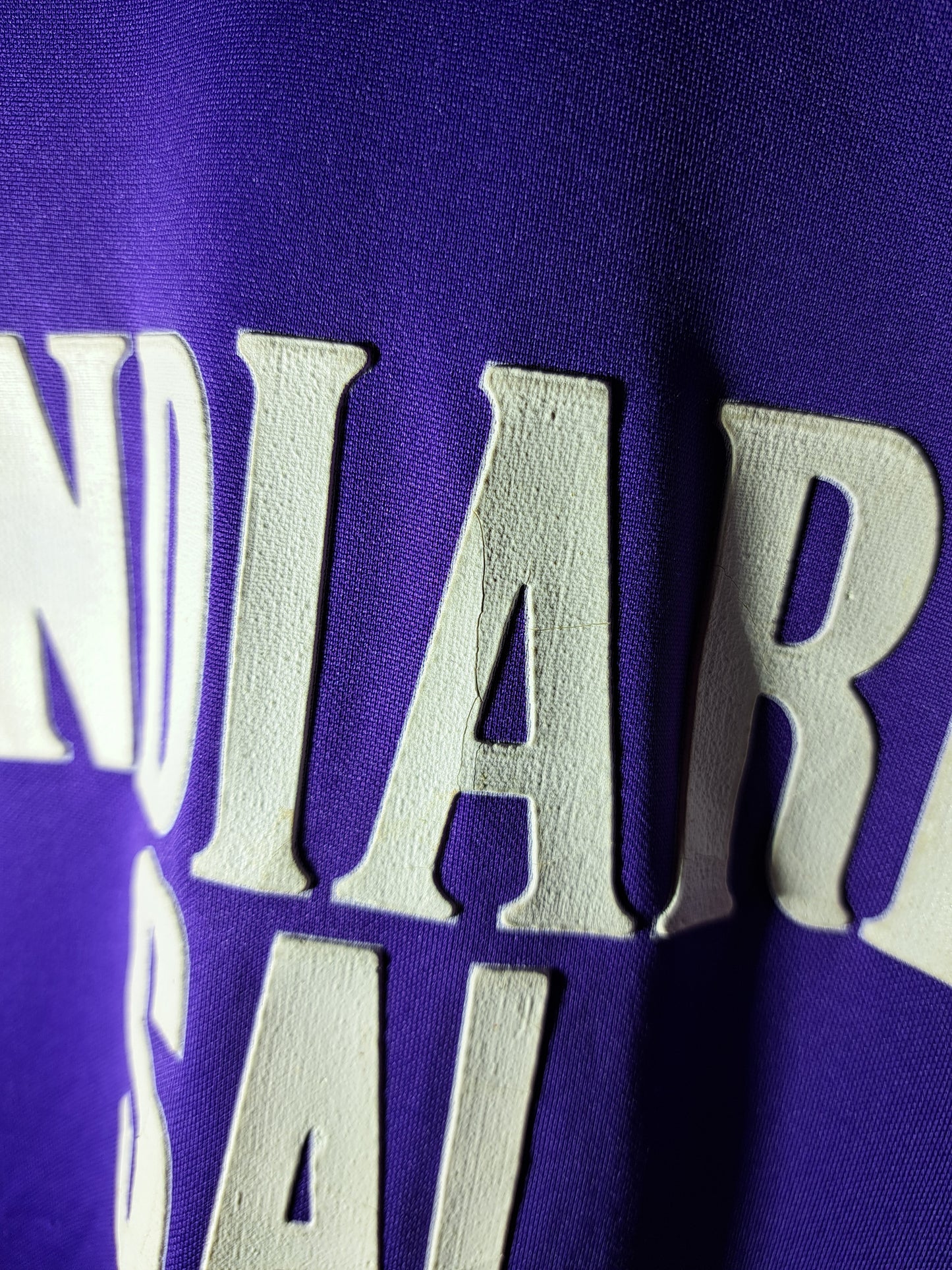 Fiorentina 2003-2004 home shirt (S)