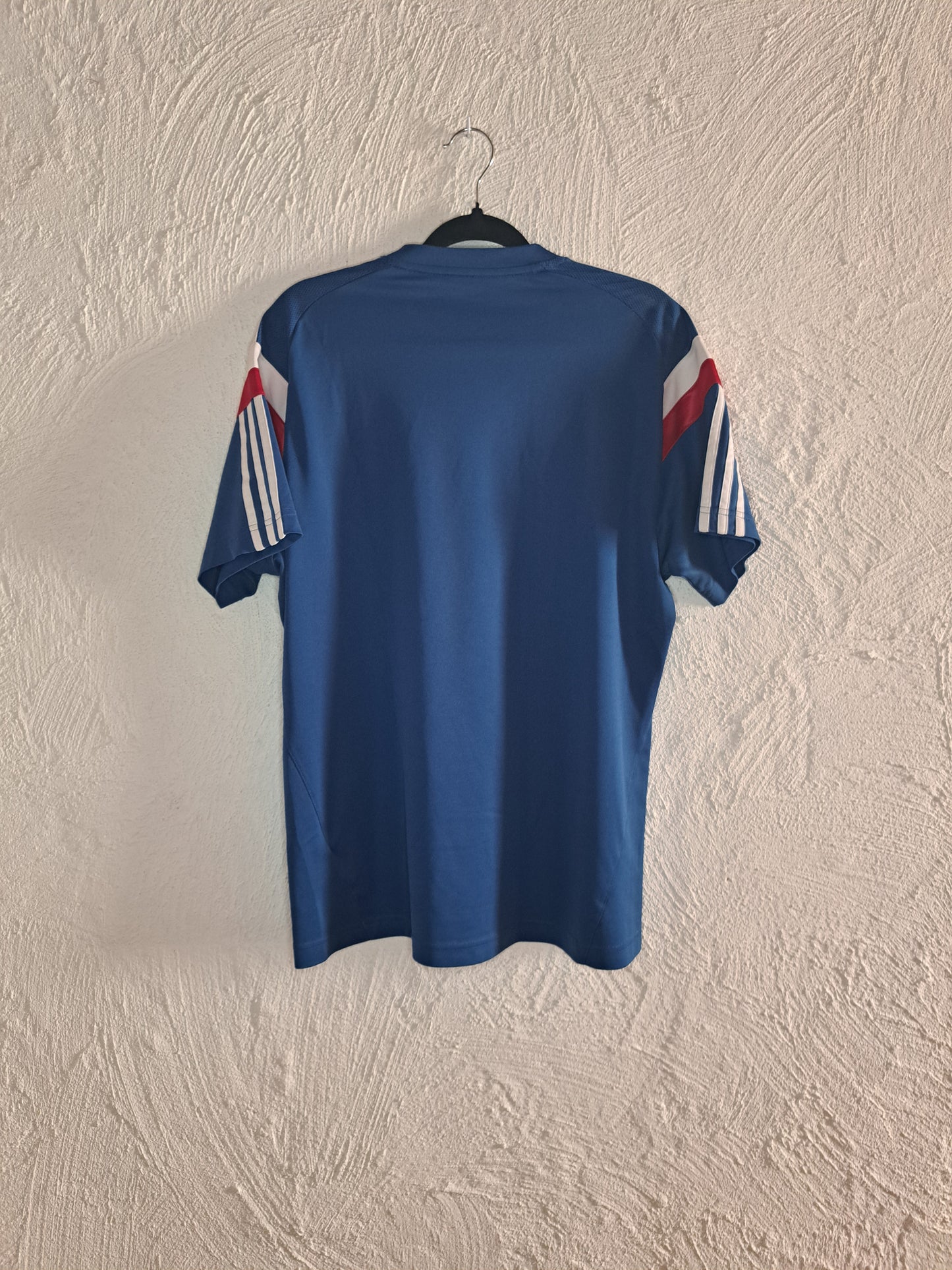 Ajax 2014-2015 training shirt (L)
