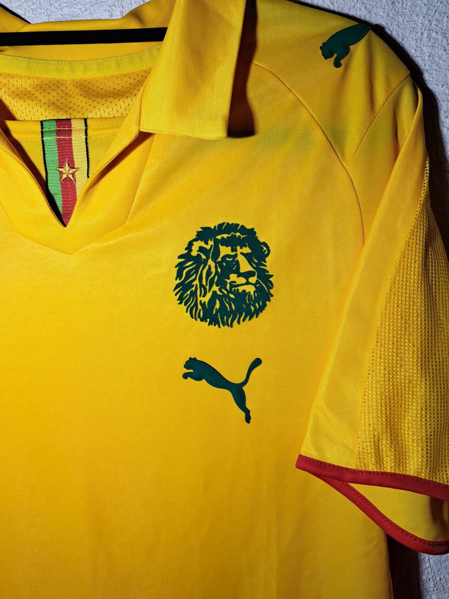 Cameroon 2008-2009 away shirt (M)